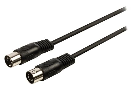 Cavo adattatore nero 1 m da DIN 5 poli maschio a 2 x RCA maschio Valueline  Accessori audio e video Elettronica outlookplanningdevelopment.com.au