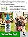 Benny's Hemp Oil for Dogs and Cats 250mg - Supports Anxiety Relief, Aging, and Joint Pain in Pets - 100% Organic, Natural, Grown & Made in USA