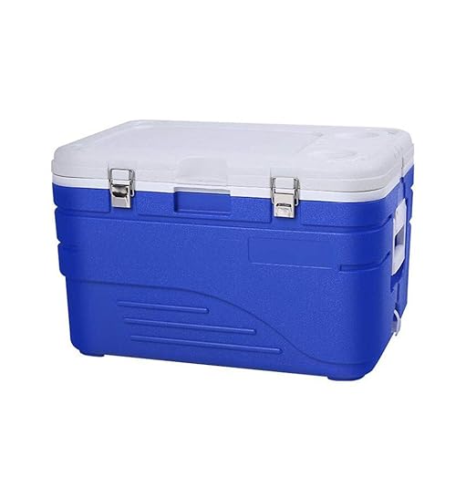 LIYANLCX Refrigerador y Calentador portátiles de 45 litros ...