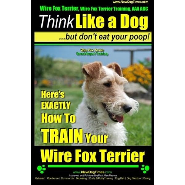 akc wire fox terrier