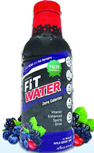 Fit Water Wild Berry Mix - Zero Calories,BCAA, L-carnitine, 16-Ounce Bottles (Pack of 12)