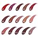 SHERUI 22 Colors FOCALLURE MATTE Lip Matte Lipgloss Set of 6