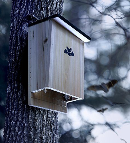 Bat house - premium quality bat shelter and nesting box…