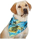 Aria Polyester/Cotton Blend Aloha Dog Bandana, 22-Inch, Blue