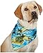 Aria Polyester/Cotton Blend Aloha Dog Bandana, 22-Inch, Blue