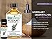 BioFinest Rosemary Oil - 100% Pure Rosemary Essential Oil - Therapeutic Grade - Australia Premium Quality - Best For Aromatherapy, Aches & Pains, Hair & Dandruff - FREE E-Book (10ml)