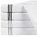 Echelon Home Collection Black Echelon Hotel Three Line Shower Curtain