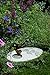Gardeners Supply Company Ceramic Butterfly Puddling Stone | Outdoor Lawn Garden Decor, Backyard Haven & Attracts Pollinator Butterflies with Water & Mineral Holder Well | Perfect for Flower Garden