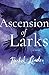 Ascension of Larks by Rachel Linden