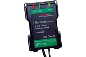 Dual Pro Recreational Series Battery Charger (12V-36V)