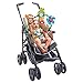 Tiny Love Musical Natural Stroll Toy, Arch