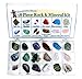 Rock and Mineral Educational Collection & Collection Box -18 Pieces with description sheet and educational information. Limited Edition, Geology Gem Kit for Kids with Display Case, Dancing Bear primary