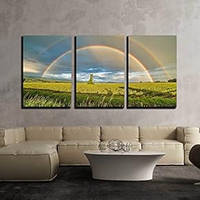 3 Piece Canvas Wall Art - Tree in a Blueberry Field Under a Double Rainbow - Modern Home Art Stretched and Framed Ready to Hang - 16"x24"x3 Panels