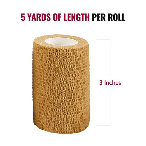 Self Adherent Wrap Bulk Pack of 6, Athletic Tape Rolls and Sports