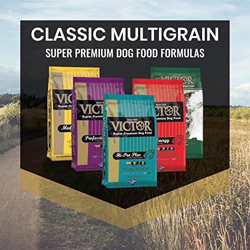 Victor Hi-Pro Plus Dry Dog Food - Thumbnail 5