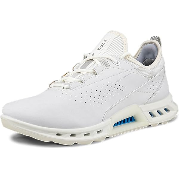 訳有・最安★新品・未使用 eccoBIOM C4 BOA GTX EU41 WH Amazon.com | ECCO Women's Biom C4 BOA Gore-TEX Waterproof