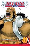 Bleach, Vol. 41