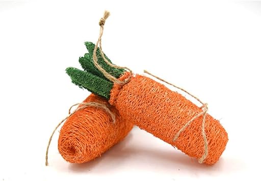 Amazon ウサギのかむおもちゃニンジン うさぎのウサギのチンチラモルモットのためのおもちゃの自然なloofahのクリーニングの歯をかみます Pengyanzhou おもちゃ 通販 Amazon ウサギのかむおもちゃニンジン うさぎのウサギのチンチラモルモットのためのおもちゃの自然なloofahのクリーニングの歯をかみます Pengyanzhou おもちゃ 通販