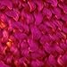 Lion Brand Homespun Yarn (426) Tulips