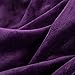 Bedsure GentleSoft Fleece Blankets Queen Size Purple - Bed Blanket Soft Lightweight Plush Fuzzy Cozy Luxury Microfiber, 90x90 inches