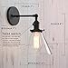 Permo Single Sconce with Funnel Flared Glass Clear Glass Shade 1-Light Wall Sconce Wall Lamp (Black）