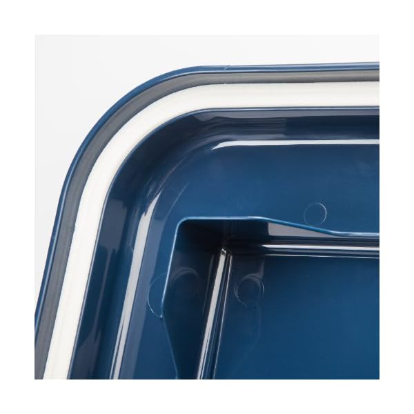 iris airtight food storage container & scoop combo