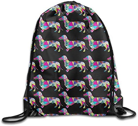 Prismatic Triangular Dachshund Unisex Drawstring Backpack Travel Sports Bag Drawstring Beam Port Backpack.