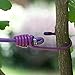 KINGSUPER Clothesline (New Style Travel Clothesline)