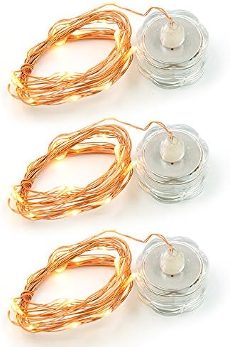 IARR? 20 LED Fairy Twinkle Warm White Copper Wire ( 9ft 8in ) String Lights with Tea Lights for DIY Wedding Centerpiece or Table Decorations