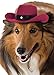 Rubie's Red Cowboy Hat for Dogs, S/M
