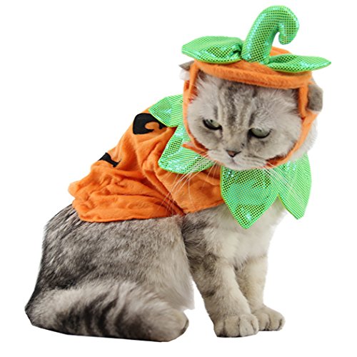 Legendog Cat Apparel Pumpkin Design Funny Pet Clothing Cat Halloween Costume with Pumpkin Headwear - Thumbnail 3