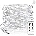 Fairy Lights Plug in, USB White Twinkle Lights USB Led String Lights 33Ft 100LEDs White Christmas Lights, Led Christmas Lights with Dimmable Remote for Bedroom Wedding Party Halloween(Daylight White)