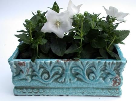 Jardiniere, Übertopf, Terrakotta, türkis, 33x17x12 cm: Amazon.de: Garten