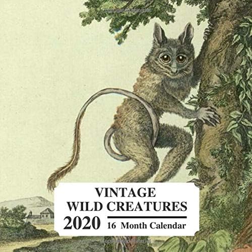Download Vintage Wild Creatures 2020: 16 Month Calendar: Beautiful Illustrations Of Different Species: Great Book Gift For Zoologists, Zookeepers, Primatologists & Wildlife Animals Lovers PDF
