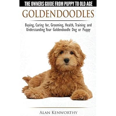 Buy Goldendoodles The Owners Guide From Puppy To Old Age Choosing Caring For Grooming Health Training And Understanding Your Goldendoodle Dog Paperback Illustrated May 9 2015 Online In Turkey 1910677000