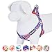 Blueberry Pet 9 Patterns Step-in Spring Scent Inspired Rose Print Irish Blue Dog Harness, Chest Girth 20