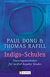 Image de Indigo-Schulen