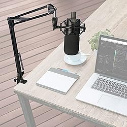 Audio-Technica AT2020 Mic Boom Arm with Foam