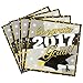 Graduation Party Kit 2017 Plates, Napkins,Tablecloth Graduation Supplies