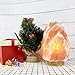Lotous (8-13 lbs,7-10in) Large Pink Himalayan Salt Lamp Lights, Himalayan Salt Table Lamp Platinum Base Touch Dimmer Switch Control and 1 Salt Night Light, Set of 2 Pack Salt Candle Holder
