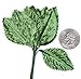 Green Satin Corsage and Boutonniere Wired Leaves - (144 Total Leaves)