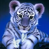 Diamond Painting, 5D DIY Cute Tiger Rhinestone Embroidery Crystal Cross Stitch Home Wall Decoration Arts Craft for Adults Kids (A)