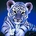 Diamond Painting, 5D DIY Cute Tiger Rhinestone Embroidery Crystal Cross Stitch Home Wall Decoration Arts Craft for Adults Kids (A)