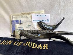 Set Shofar,Oryx,Ram Horn,Kudu,Tallit Messianic