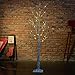 Excelvan Safe 48 LEDs 1.2M/4FT Silver Warm White Xmas Led Birch Twig Lighted Branches Tree for Home Bedroom Patio Garden Gate Yard Party Wedding Christmas Inside Outdoor Decoration