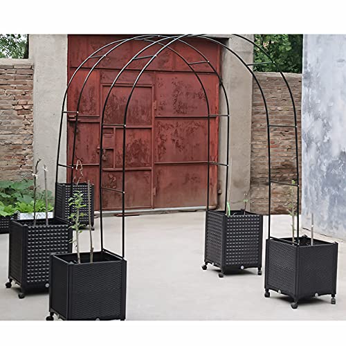 SXNYC Rosenbogen, Rosenbogen aus Metall, Rosenbogen Holz, Rosenbogen Verzinkt, Torbogen Metall, Wetterfest – Bild 8