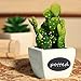 Thunder 48 Packs Chalkboard Labels Premium Waterproof Stickers and White Color Liquid Chalk Pen for Jars, Boxes, or Personalizing Anything
