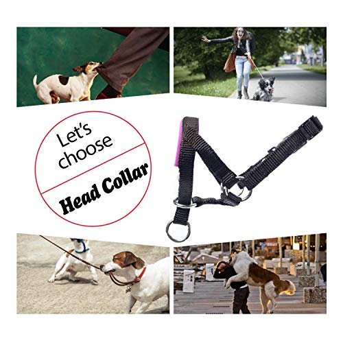 wintchuk Dog Head Collar, Fabric Padded Head Collar for Dogs to Prevent