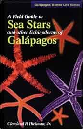 A Field Guide To Sea Stars Amp Other Echinoderms Of