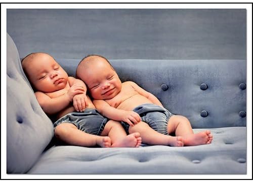 Educa Borras 500 Piece Puzzle - Amos & Noah, Rachel Hale